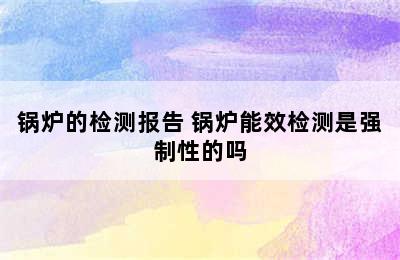 锅炉的检测报告 锅炉能效检测是强制性的吗